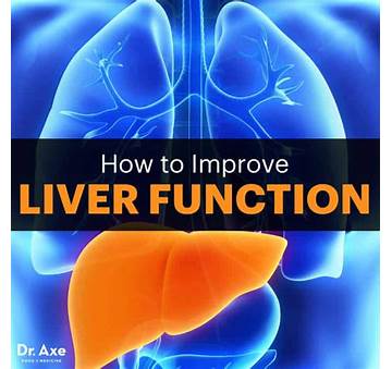 How To Increase Liver Metabolism